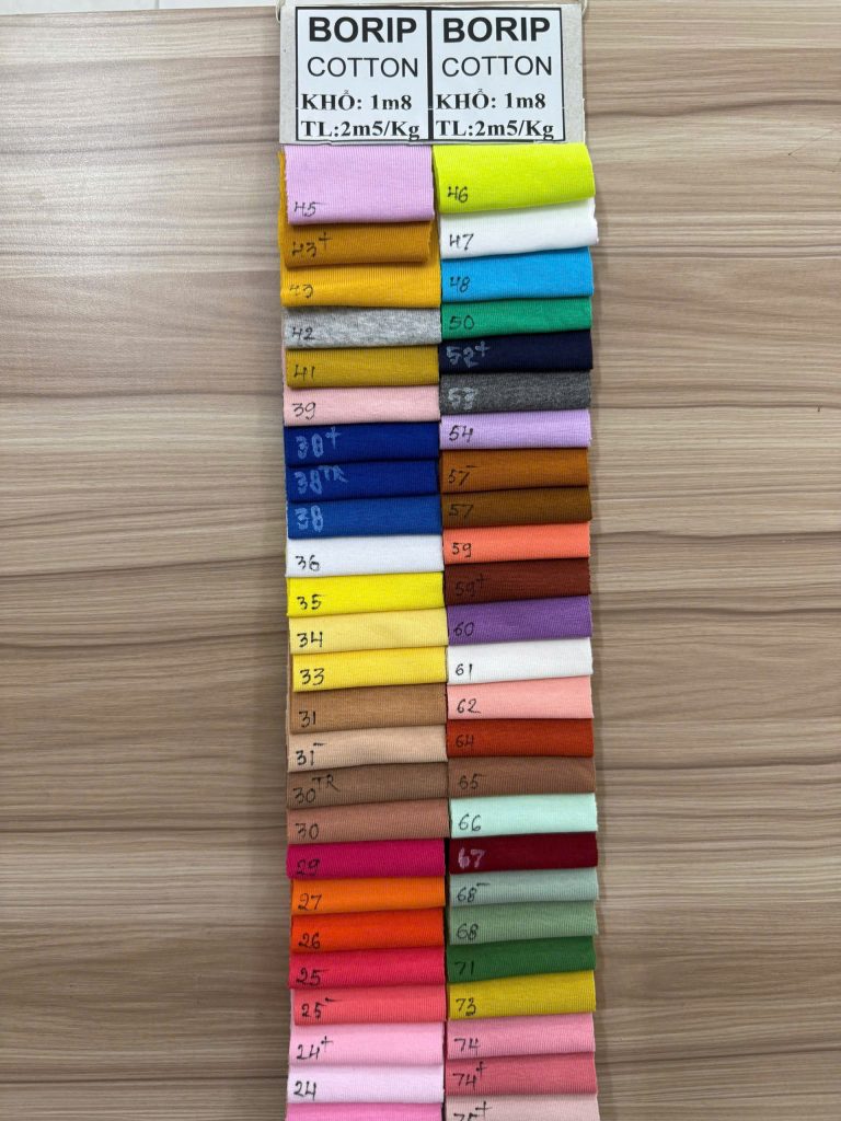 bảng màu vải borip cotton