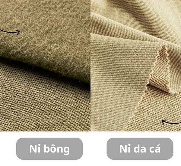 So sánh vải nỉ bông và nỉ da cá